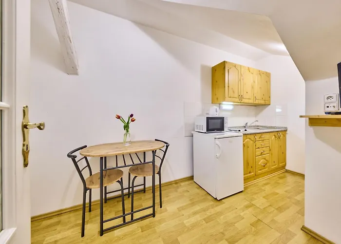 Belvedere-9 By Interhome Appartement Janské Lázně