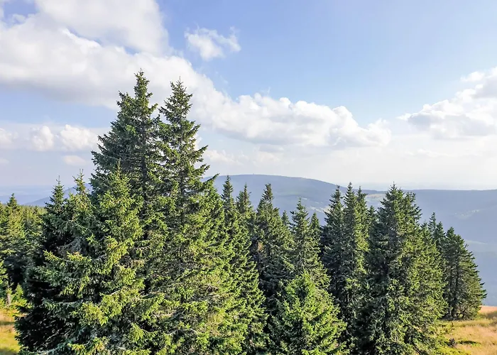Belvedere-9 By Interhome *